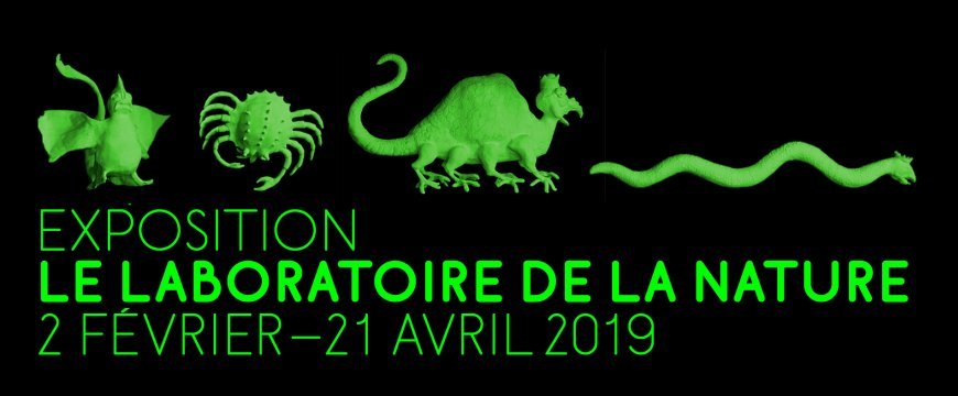Exposition collective "Le Laboratoire de la Nature", Le Fresnoy, Tourcoing, 2019